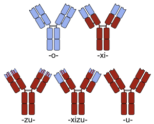 Comparison of (brown: human, blue: non-human):...